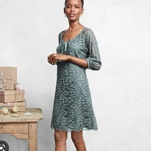 Garnet Hill Bohème Easy Lace Dress